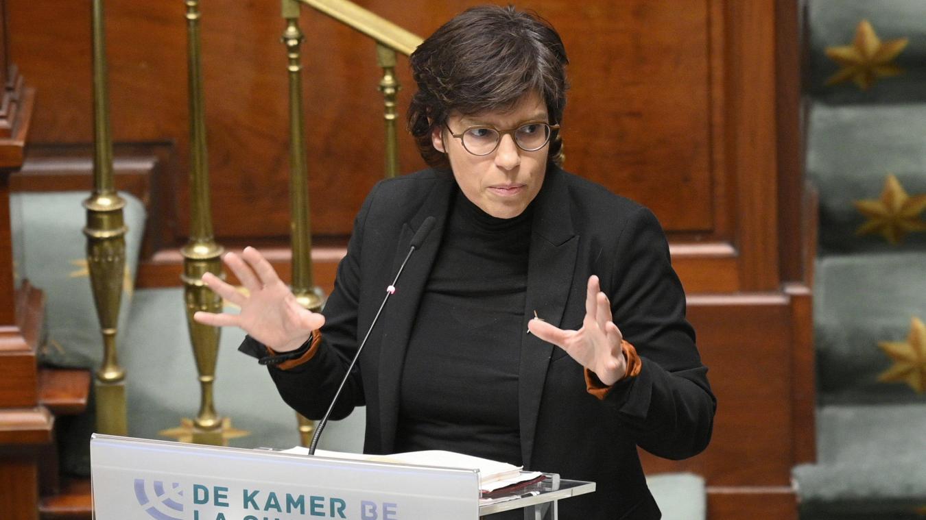 <p>Tinne Van der Straeten in der Kammer</p>