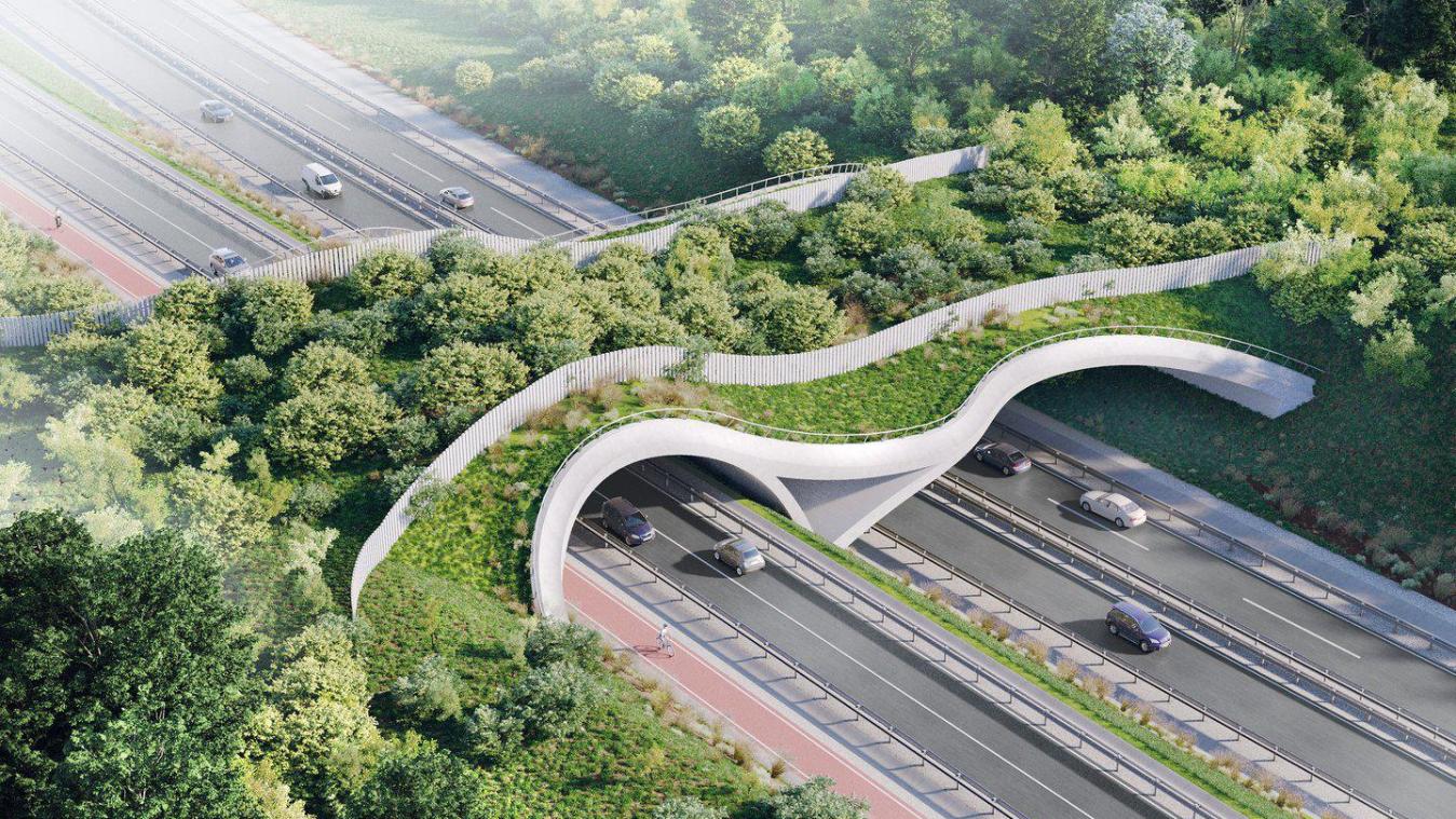 <p>Die Wildwechselbrücke auf Höhe des Windrades wird eine der sieben markanten Brücken.</p>