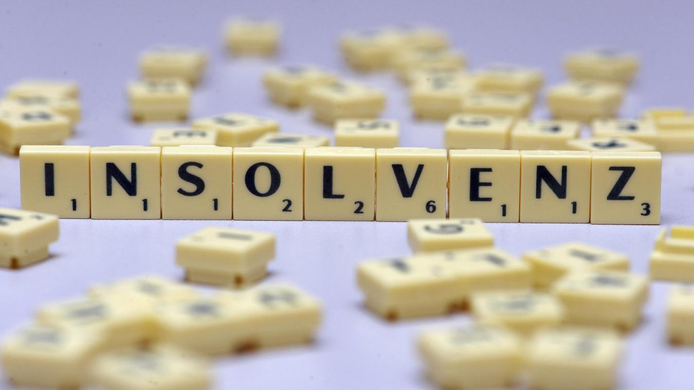 <p>Viele Unternehmen sind im vergangenen Jahr pleitegegangen.</p>