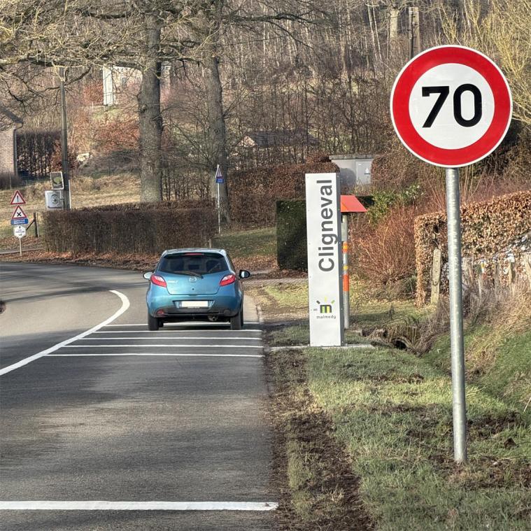 <p>Die neuen Anlagen sollen Autofahrer visuell auf die Ortseinfahrt aufmerksam machen.</p>
