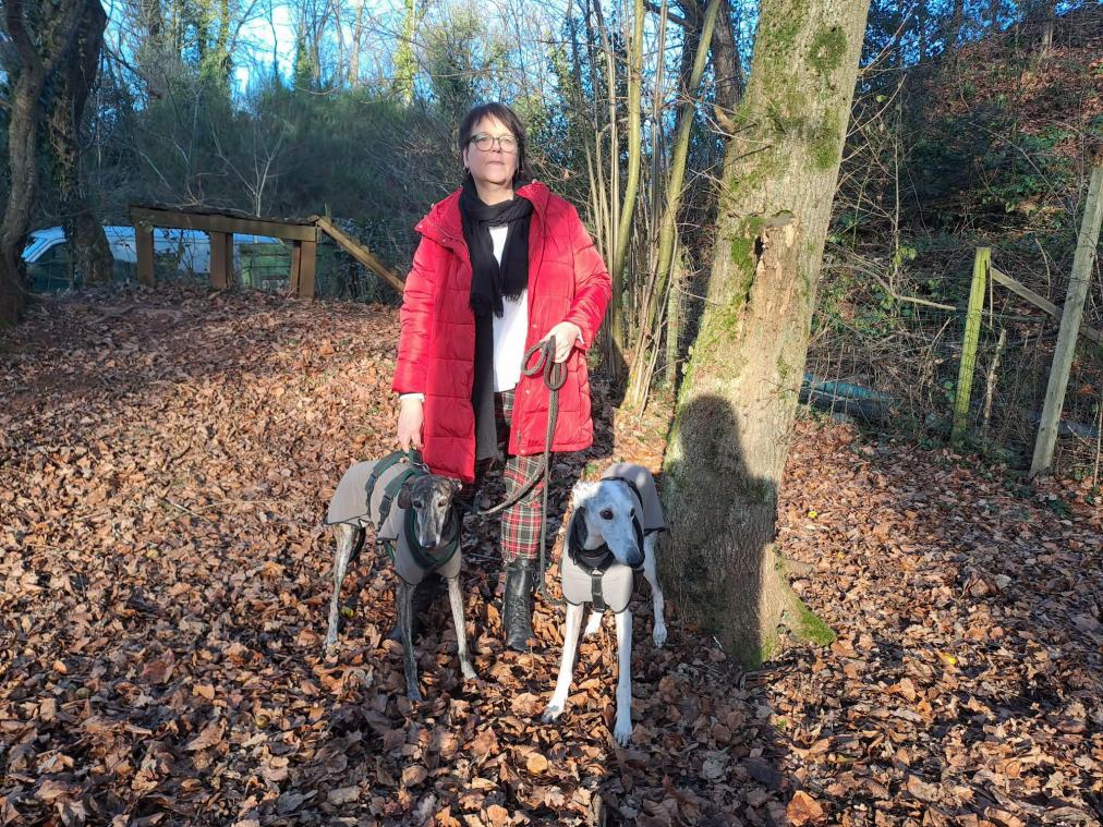 <p>Susanne Visé aus Eupen hat die beiden Galgos Alpro und Sol bei sich aufgenommen. Die meisten Besitzer wissen nur wenig über die Geschichte ihrer Hunde.</p>
