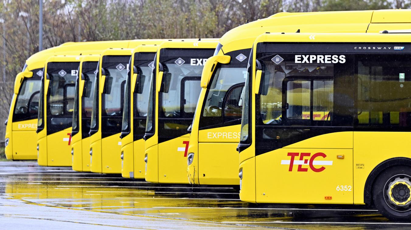 <p>Reihenweise abgestellte TEC-Busse: Der Streik sorgt am Montag für massive Einschränkungen im Busverkehr, besonders im Raum Lüttich-Verviers.</p>