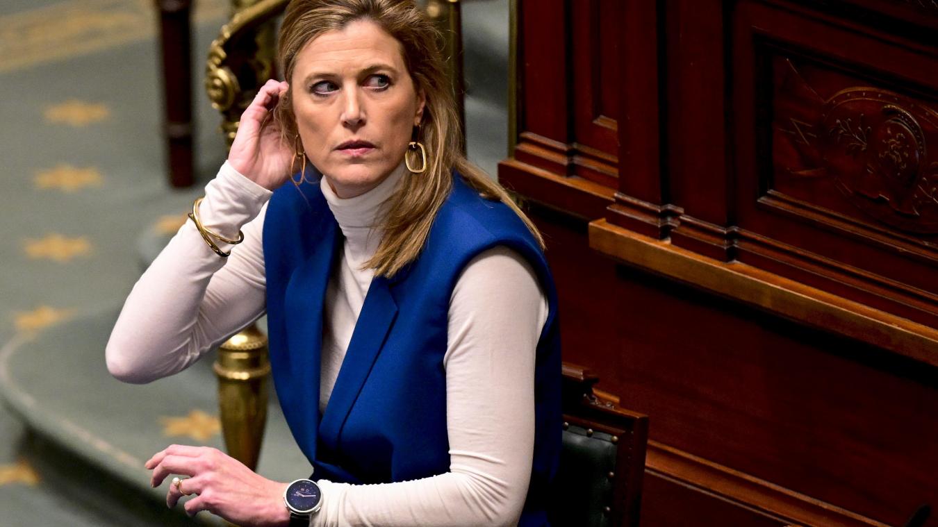 <p>In der Defensive: Justizministerin Annelies Verlinden am Donnerstag im Kammerplenum</p>