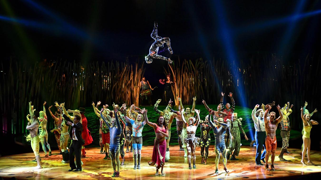<p>Alles Zirkus oder was? Ein Ticket für Cirque du Soleil soll weiterhin mit sechs Prozent MwSt. besteuert werden.</p>