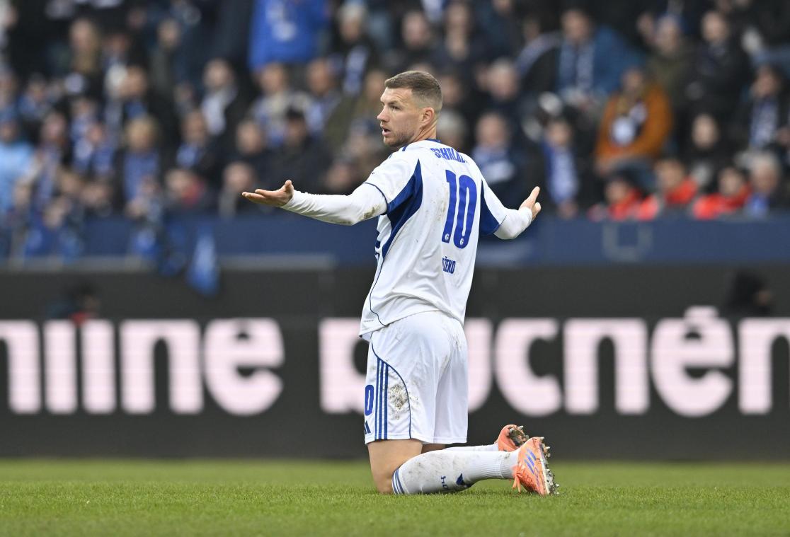 <p>Edin Džeko (FC Schalke 04) reagiert auf dem Spielfeld.</p>