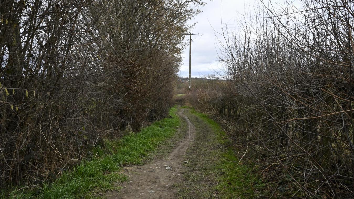 <p>Der Fußweg zwischen Herbesthal und Lontzen soll ausgebaut werden, damit er künftig auch fahrrad- und kinderwagentauglich ist.</p>