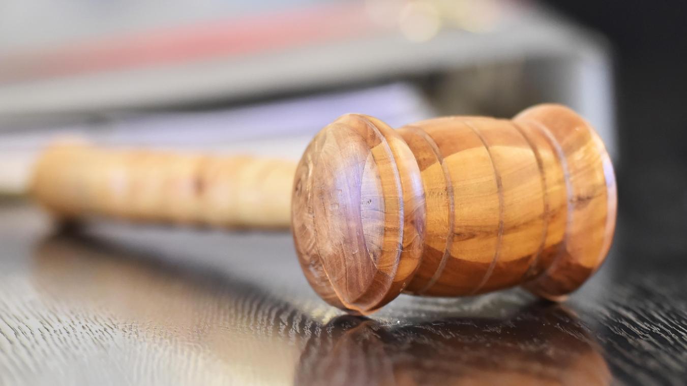 <p>Illegale Kaiserschnitte bei Rindern: Prozess gegen Landwirt aus Vielsalm</p>
