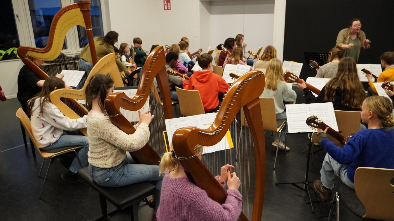<p>Eine besondere Gelegenheit bietet sich, mehrere Harfen sowie zahlreiche Gitarren und Mandolinen gemeinsam zu erleben.</p>