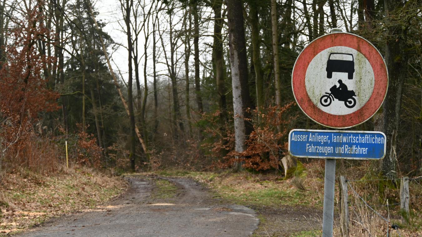 <p>Über die Arbeiten an den Waldwegen wird in Burg-Reuland künftig die Gemeinde selbst entscheiden.</p>