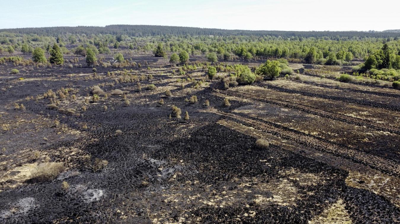 <p>Organisationen fordern in Belgien mehr Einsatz für die Natur.</p>