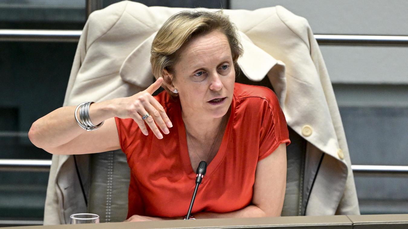 <p>Annick De Ridder im flämischen Parlament</p>