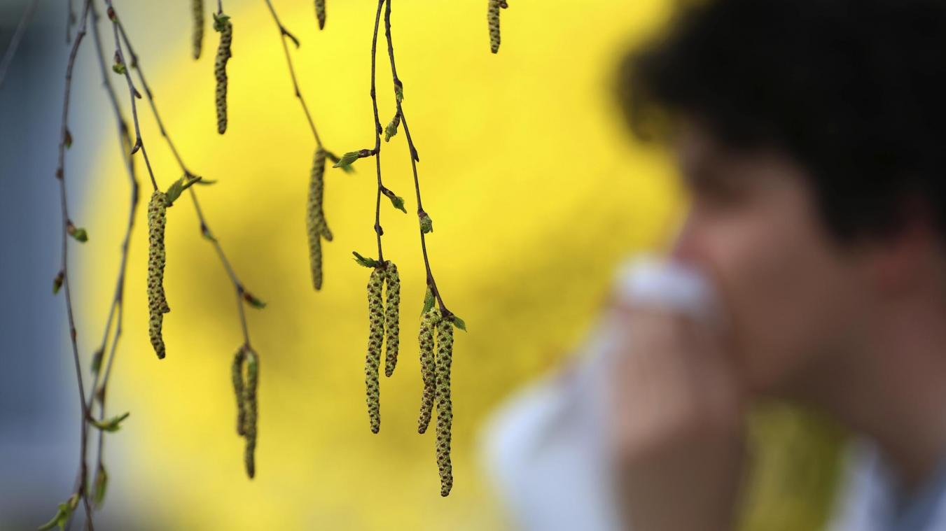 <p>Allergiker müssen sich auf eine längere Phase der Birkenpollenbelastung einstellen.</p>