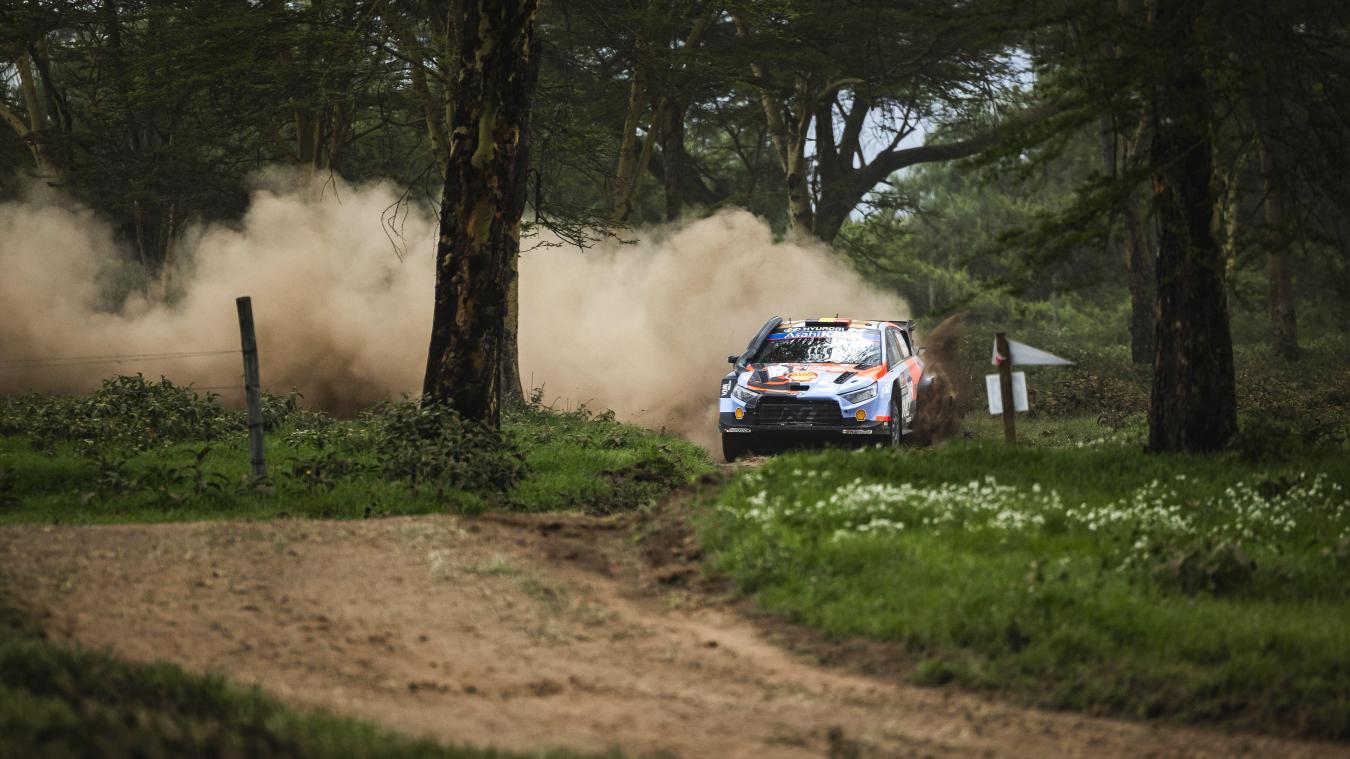 <p>Thierry Neuville</p>