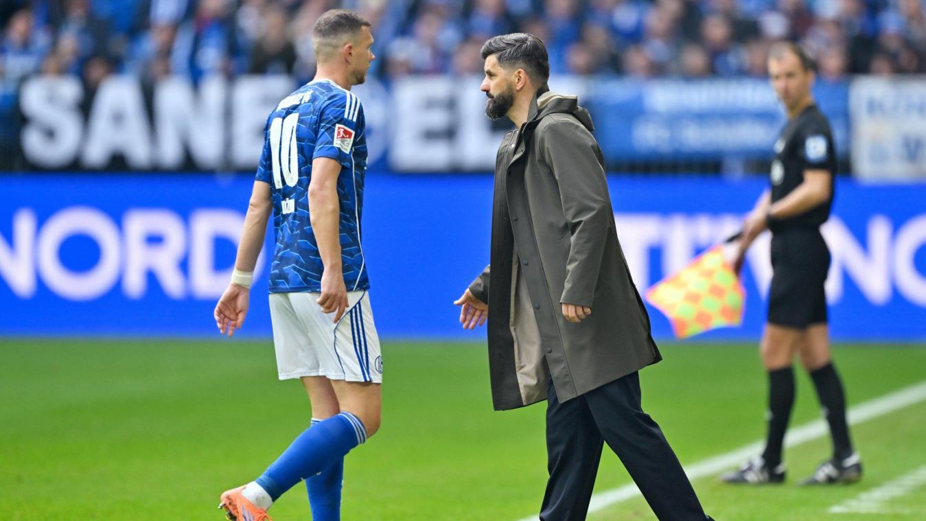 <p>Edin Dzeko (Schalke) erhielt einen Platzverweis.</p>