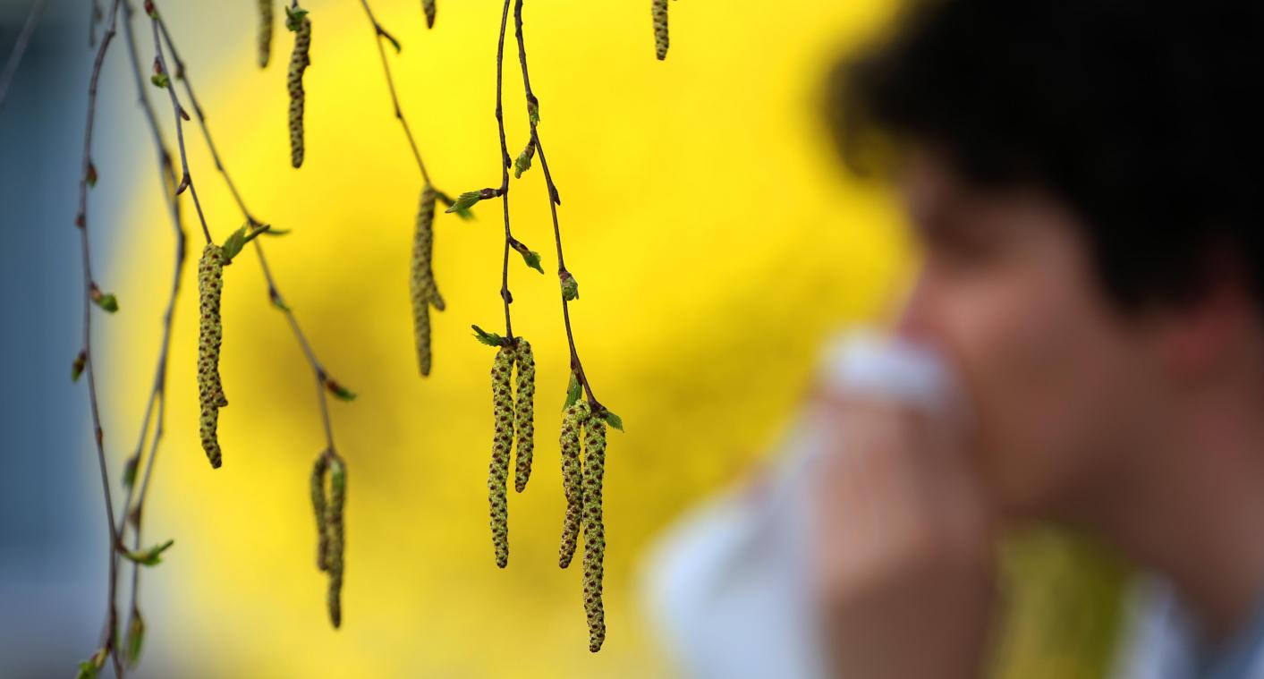 <p>Durch milde Temperaturen sind Birkenpollen bereits in der Luft – für viele Allergiker beginnt die Leidenszeit deutlich früher als üblich.</p>