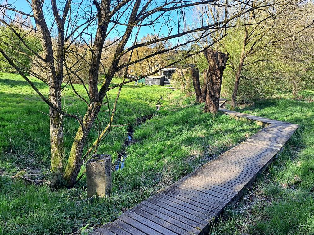 <p>Die natürlichen Bachbetten von Haasbach und Siepebach im Ostpark werden im Rahmen des Projektes wiederhergestellt. So werden Bachläufe mit unterschiedlichen Tiefen und Breiten entstehen.</p>