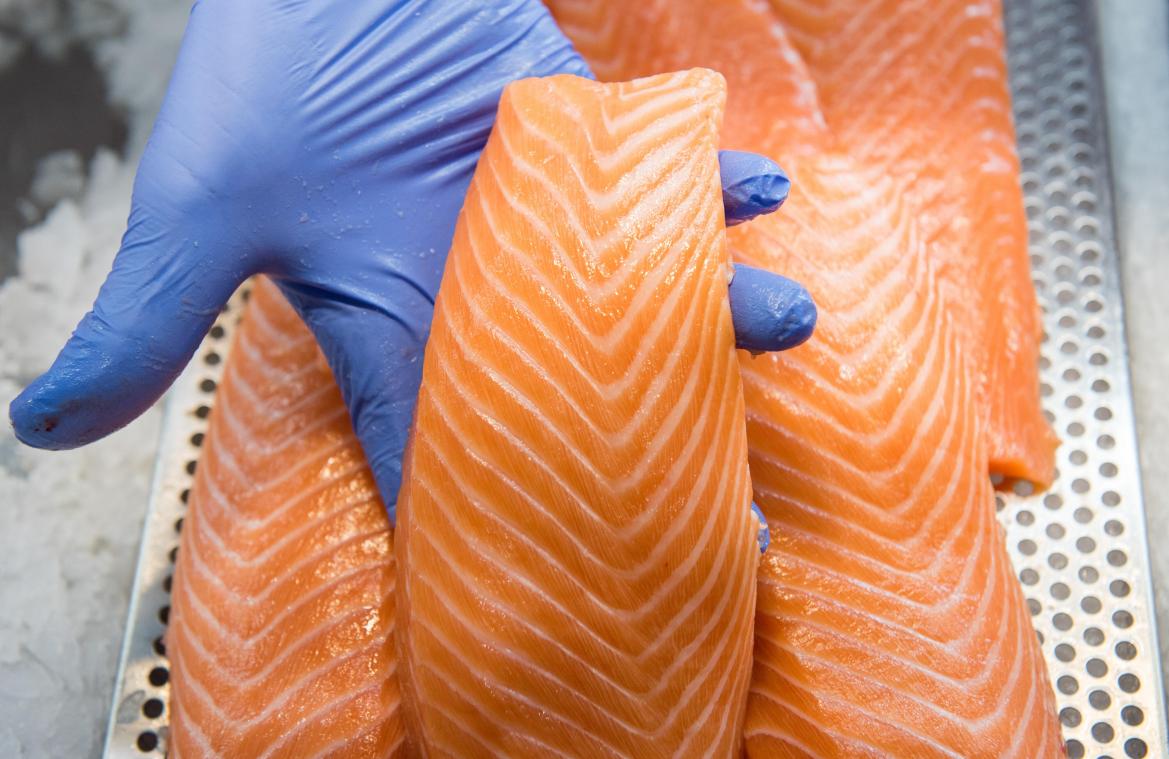 <p>Für den Kunden ist es oft nicht einfach zu unterscheiden, ob Fisch aus einer nachhaltigen Zucht stammt.</p>