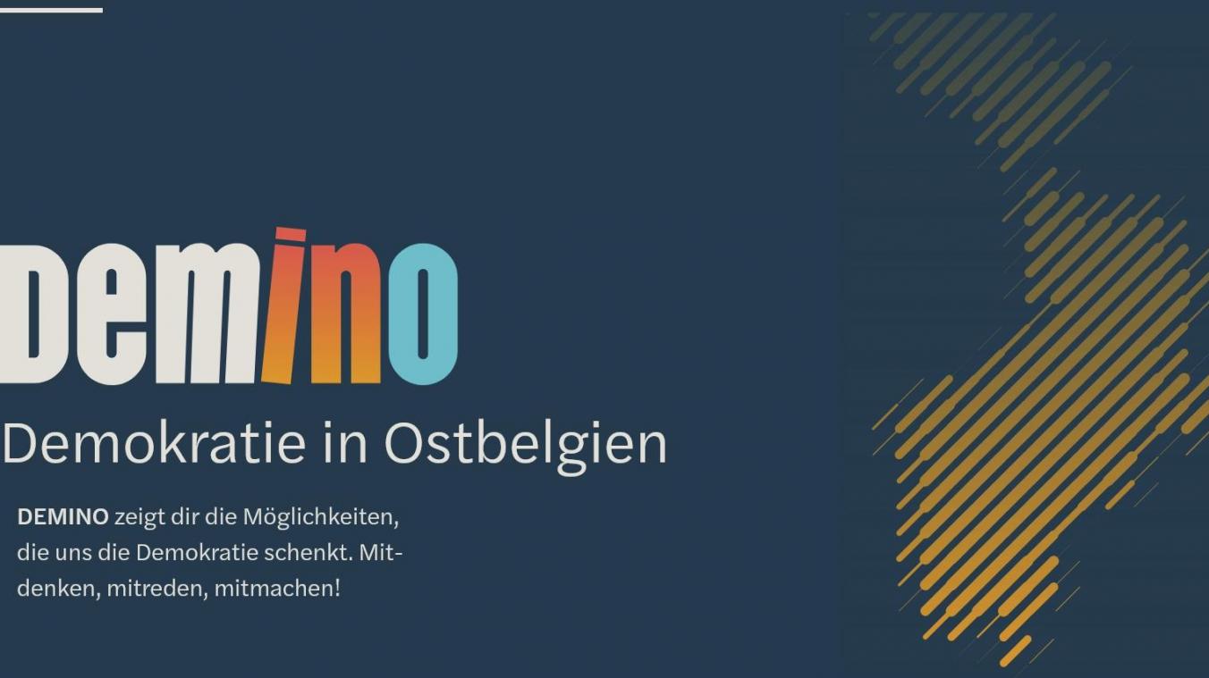 <p>Blick auf die Webseite von „Demino“</p>