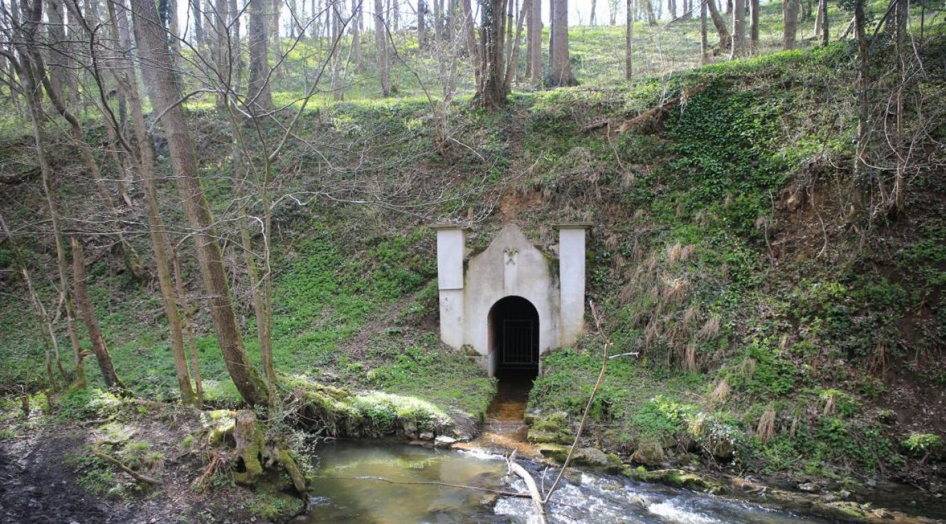 <p>Im Frühjahr gibt es im Hohnbachtal besonders viel zu entdecken.</p>