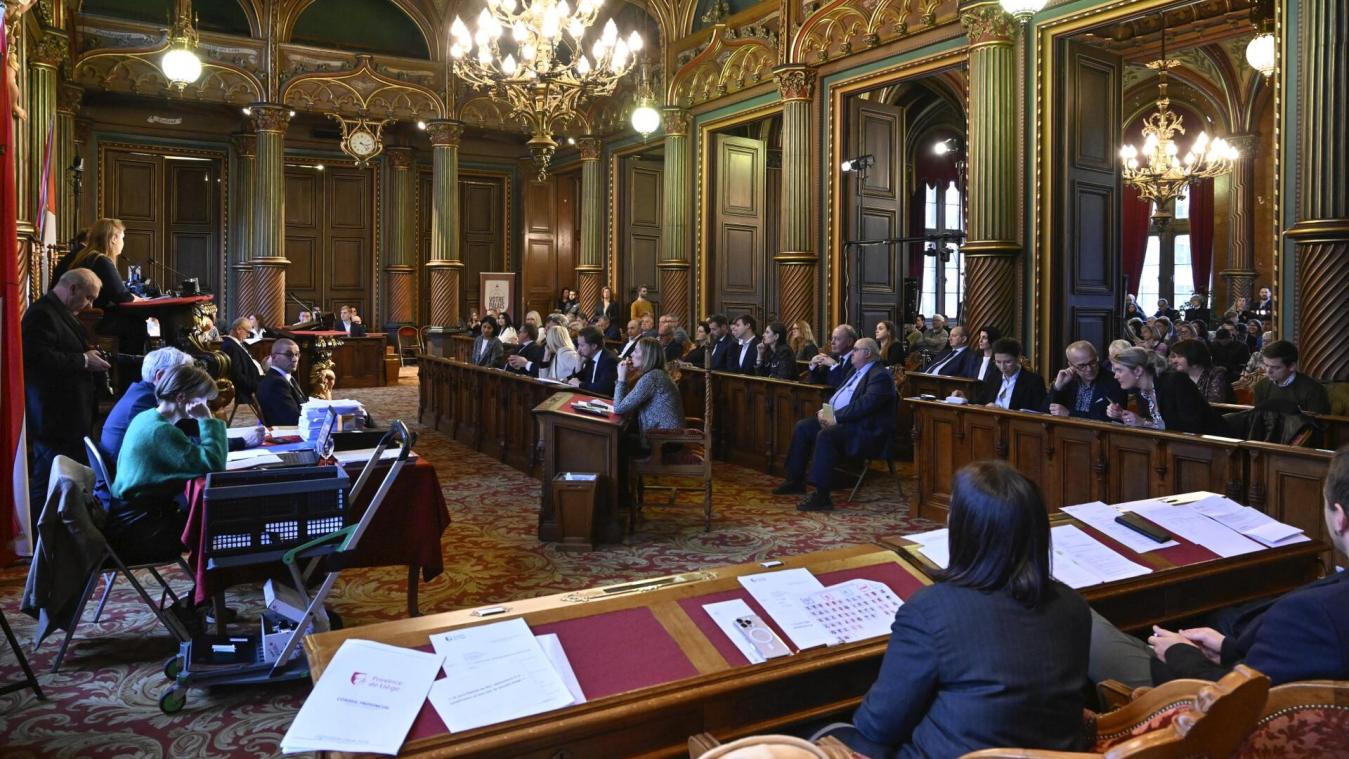 <p>Blick in den Lütticher Provinzialrat</p>