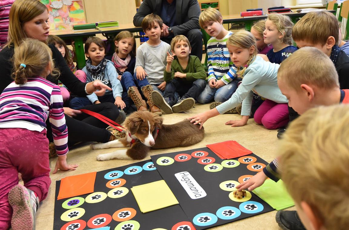 <p>Nachdem sich auf dem Gelände der SGU-ECEF zeitweise bis zu fünf Hunde befanden, soll der Rahmen für den Einsatz von Schulhunden nun klar definiert werden.</p>