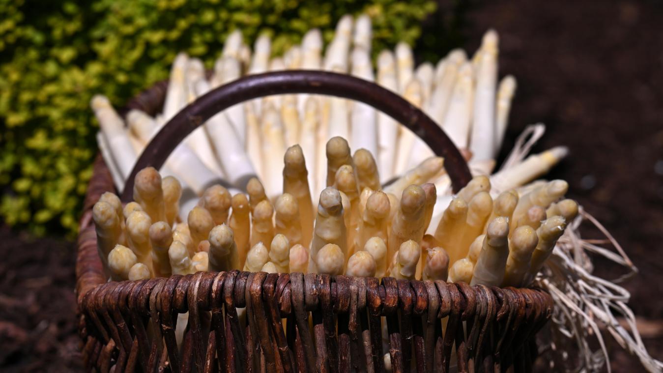 <p>Spargel aus der Region gewinnt an Bedeutung</p>
