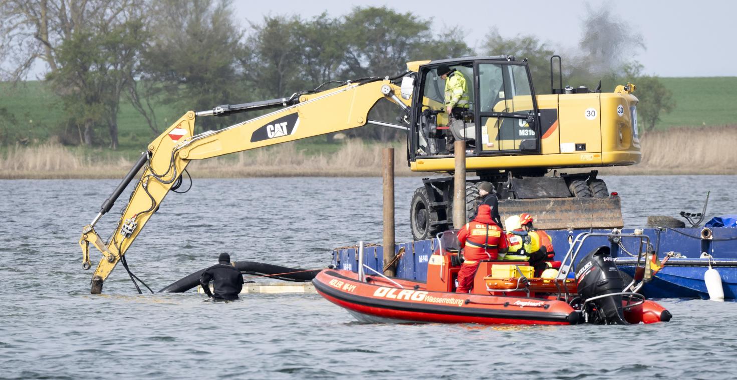 <p>Ein Bagger gräbt eine Rinne für den Wal: Der vor rund drei Wochen bei Wismar gestrandete Buckelwal liegt weiterhin im Flachwasser fest.</p>