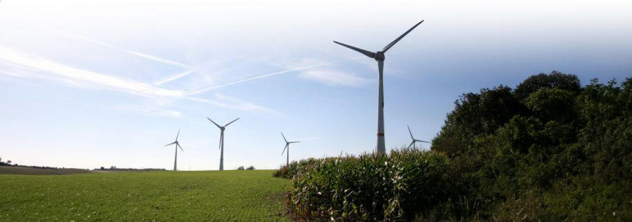 <p>Aus vier Windrädern werden fünf</p>
