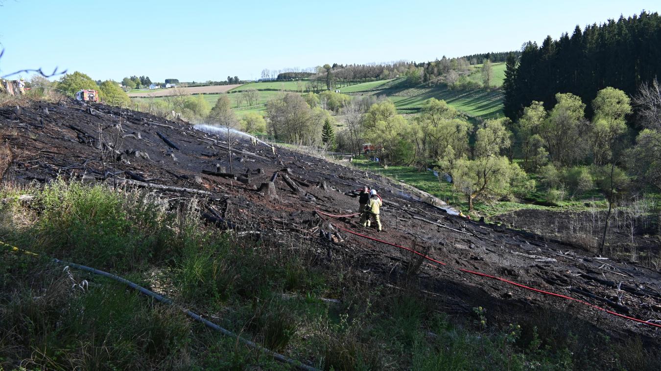 <p>Das Feuer breitete sich auf einem Kahlschlag zwischen Wirtzfeld und Bütgenbacher See aus.</p>