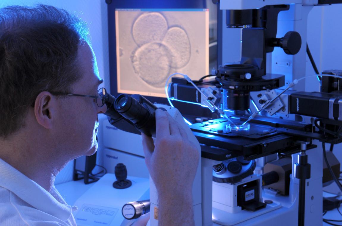 <p>Menschliche Eizellen werden in einem Labor von einem Biologen zu Demonstrationszwecken unter einem Mikroskop betrachtet: Zum Welttag des Eierstockkrebses am 8. Mai weist die Stiftung gegen Krebs auf die Bedeutung weiterer Investitionen in Forschung und innovative Behandlungsmethoden hin.</p>