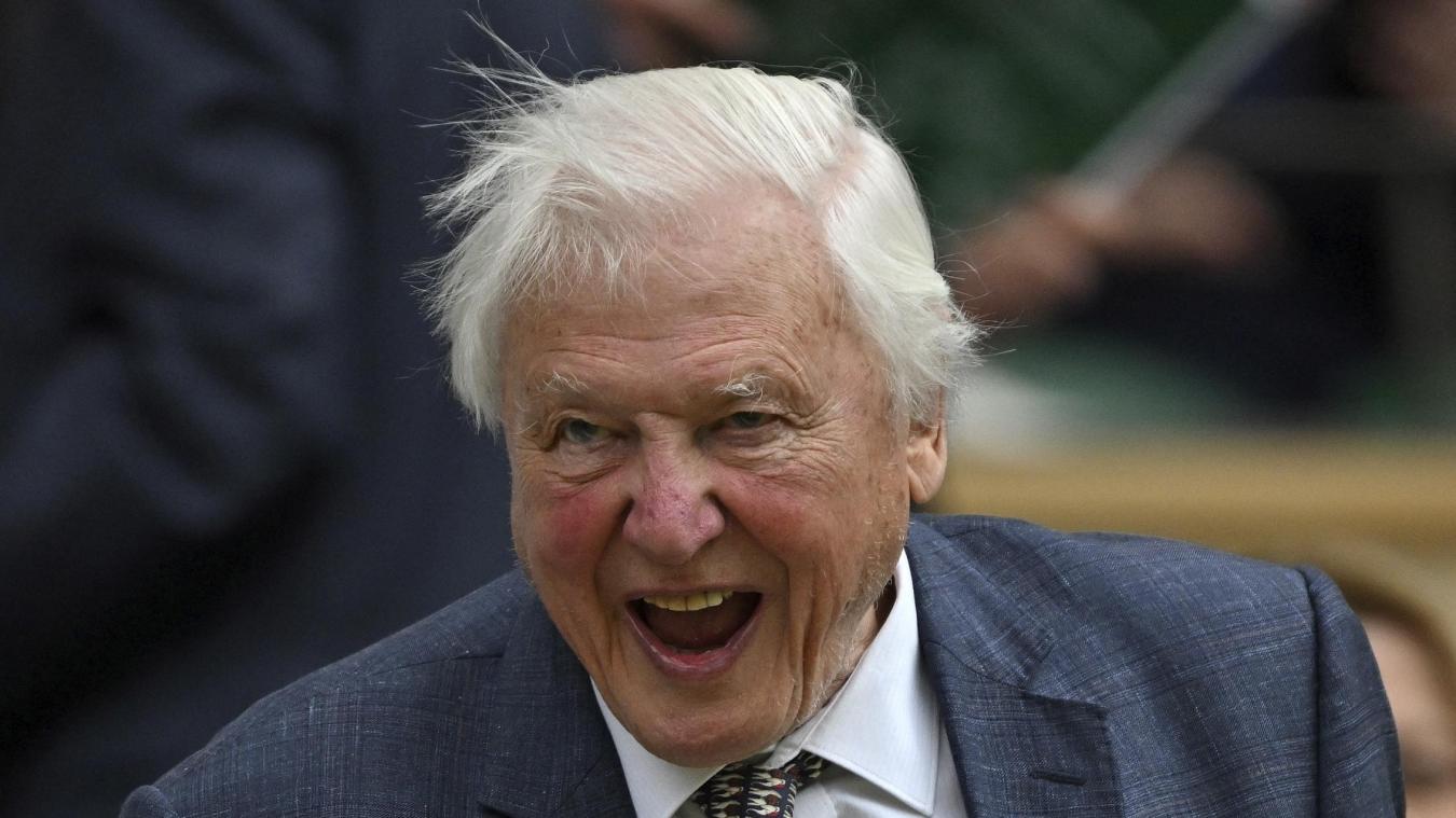 <p>David Attenborough 2024 beim Tennisturnier von Wimbledon.</p>