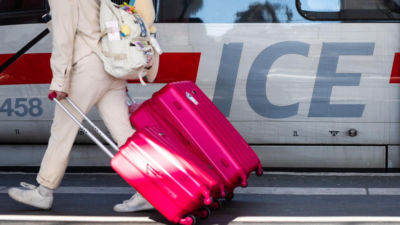<p>Eine Frau mit ihren Koffern im Zugverkehr</p>