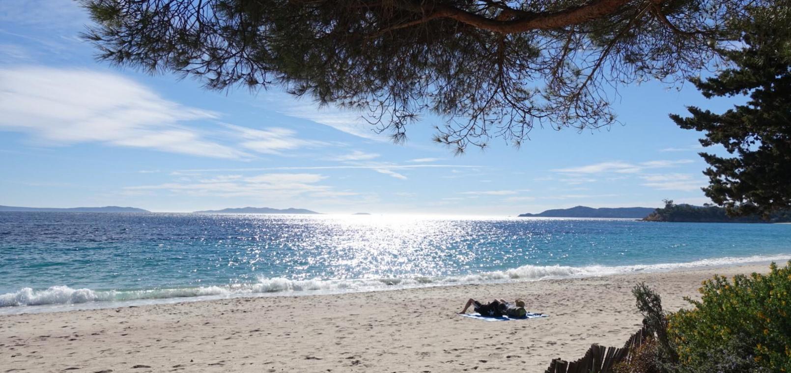 <p>Der Strand von Cavalière nahe Bormes-les-Mimosas: Frankreich bleibt bei belgischen Reisenden besonders beliebt.</p>