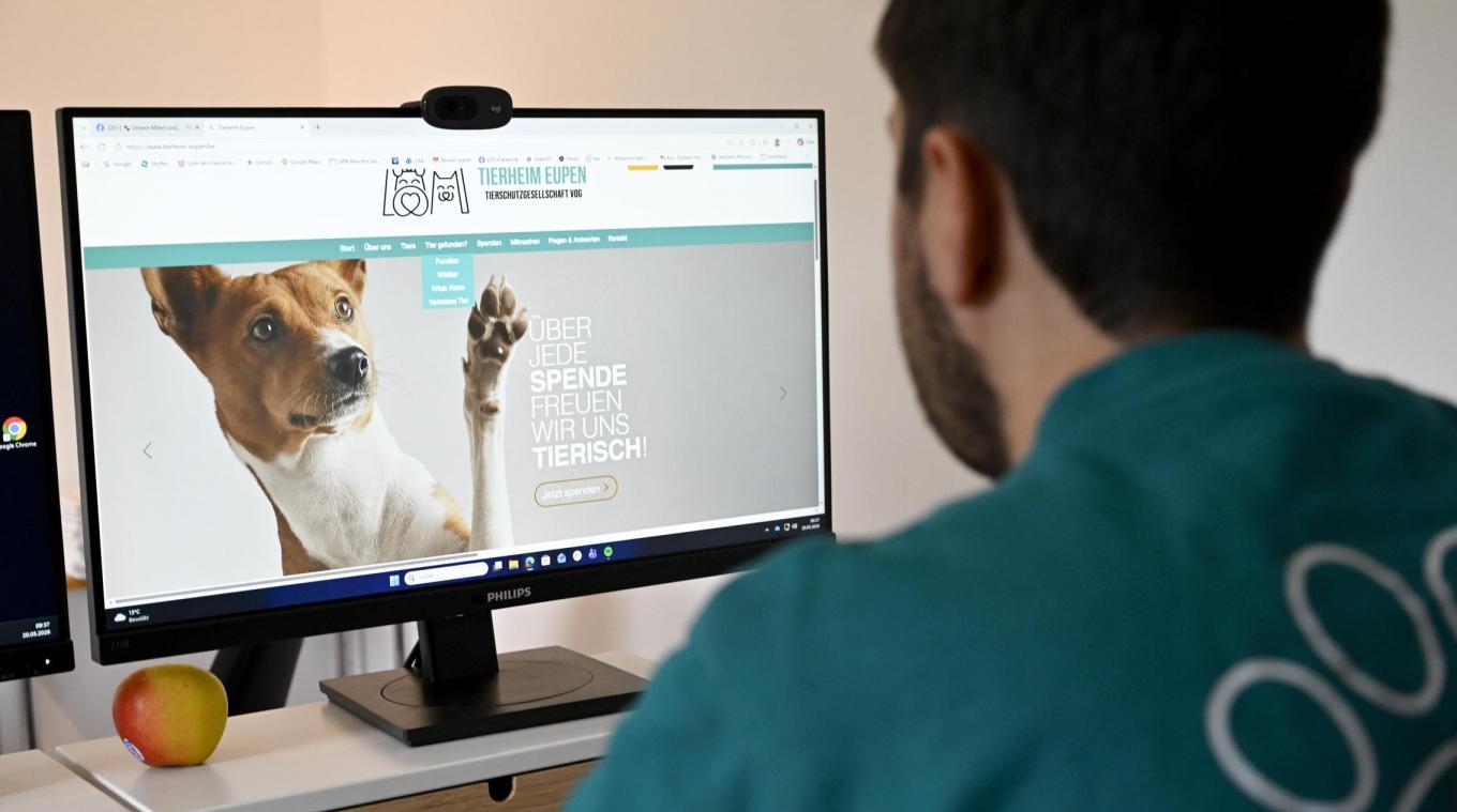 <p>Die Spendenkampagne des Eupener Tierheims ist online. Mit den Einnahmen soll das aktuelle Defizit gestopft werden.</p>