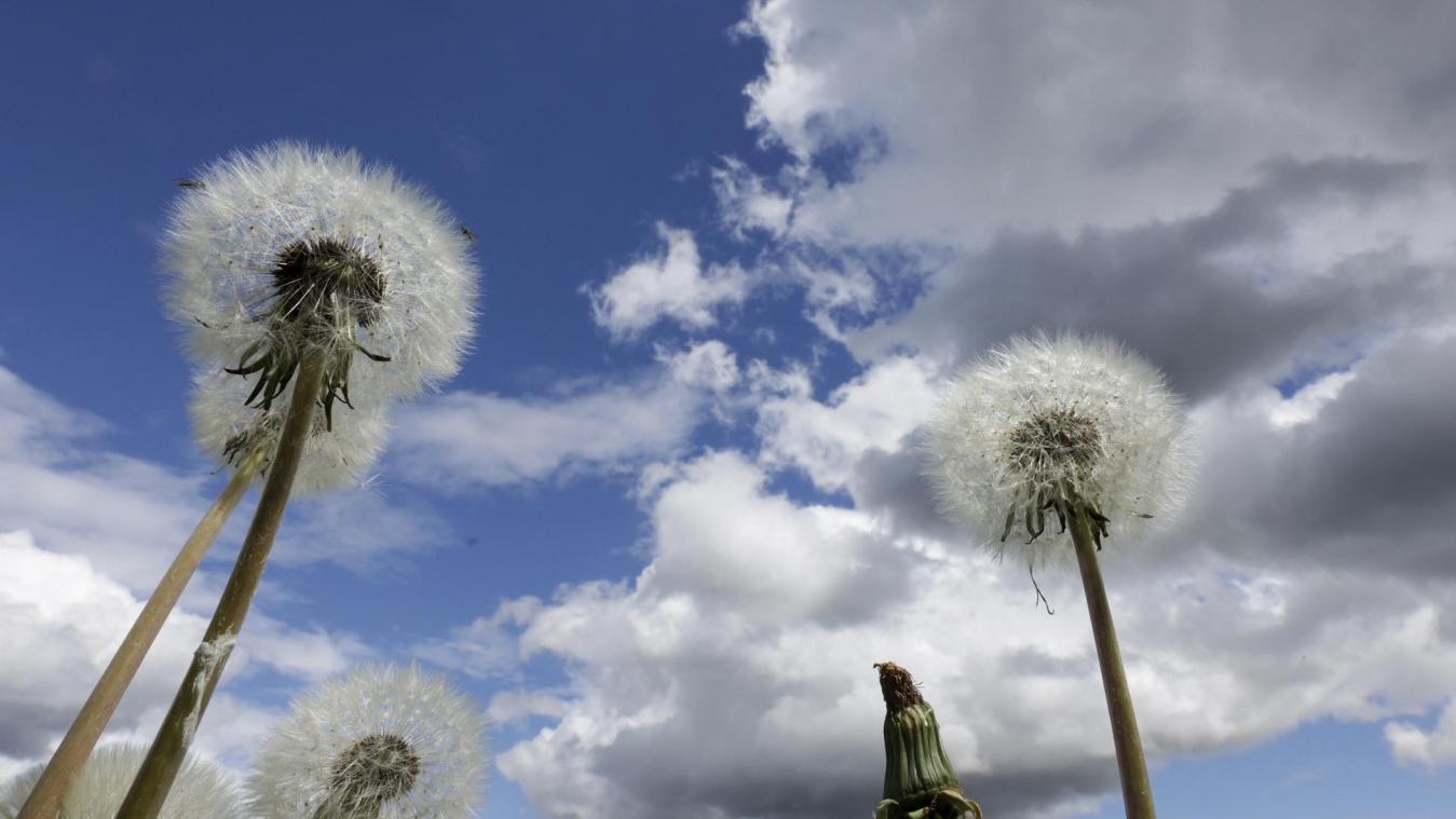 <p>Nach einem bislang oft grauen und kühlen Mai kündigt sich pünktlich zu Pfingsten endlich die große Wetterwende an: Viel Sonne und sommerliche Temperaturen sollen am Wochenende für echtes Frühsommergefühl sorgen.</p>