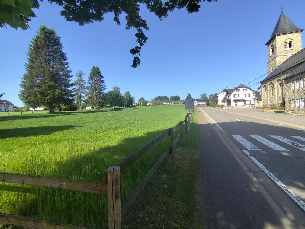 <p>In zentraler Lage sollen in Born 18 kommunale Baustellen entstehen.</p>