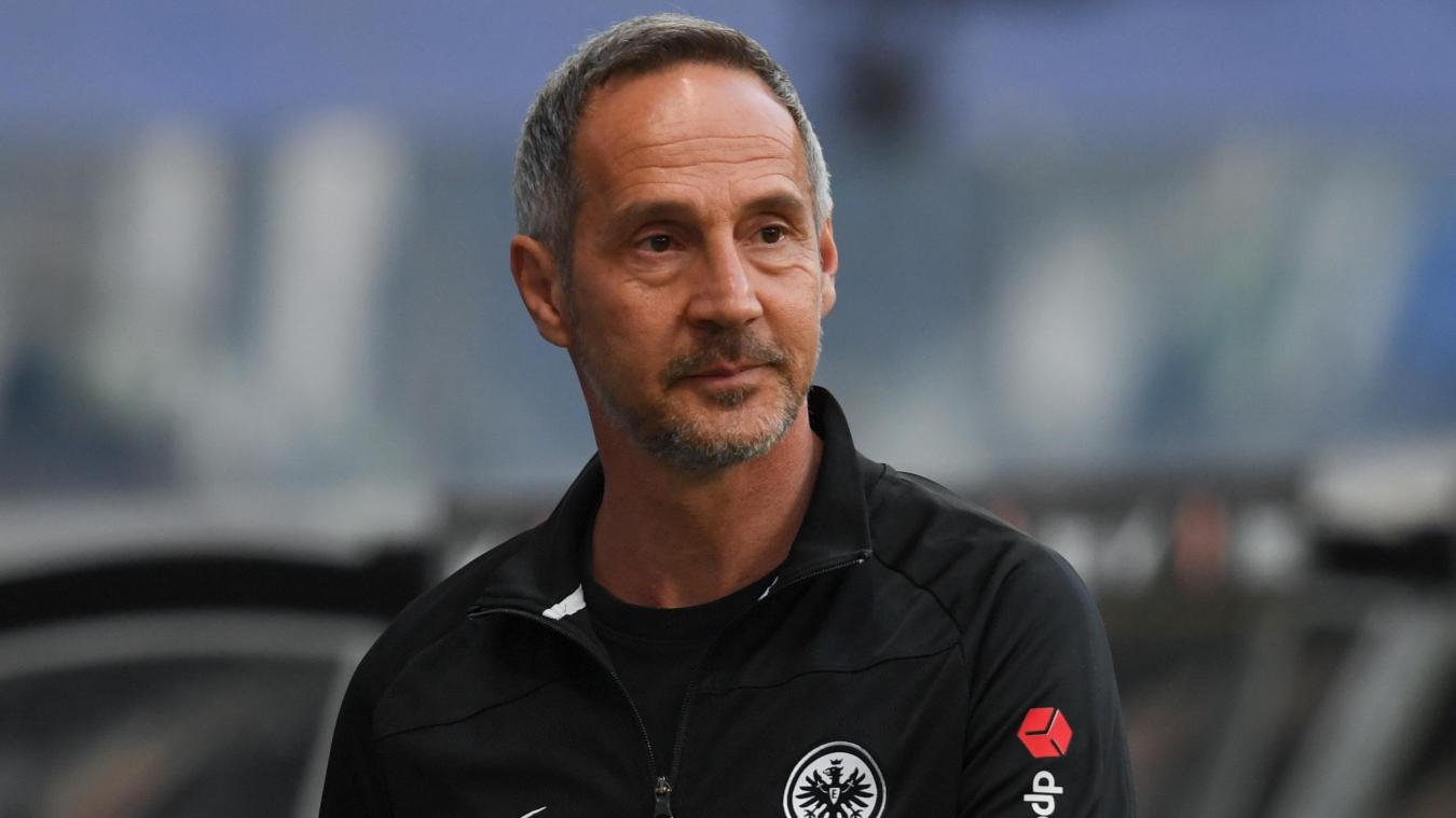 <p>Adi Hütter ist zurück in Frankfurt.</p>