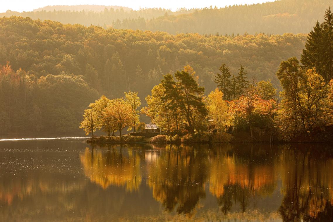 <p>Der Rursee gehört zur besonderen Kulisse der geplanten „Rureifel-Acht“.</p>