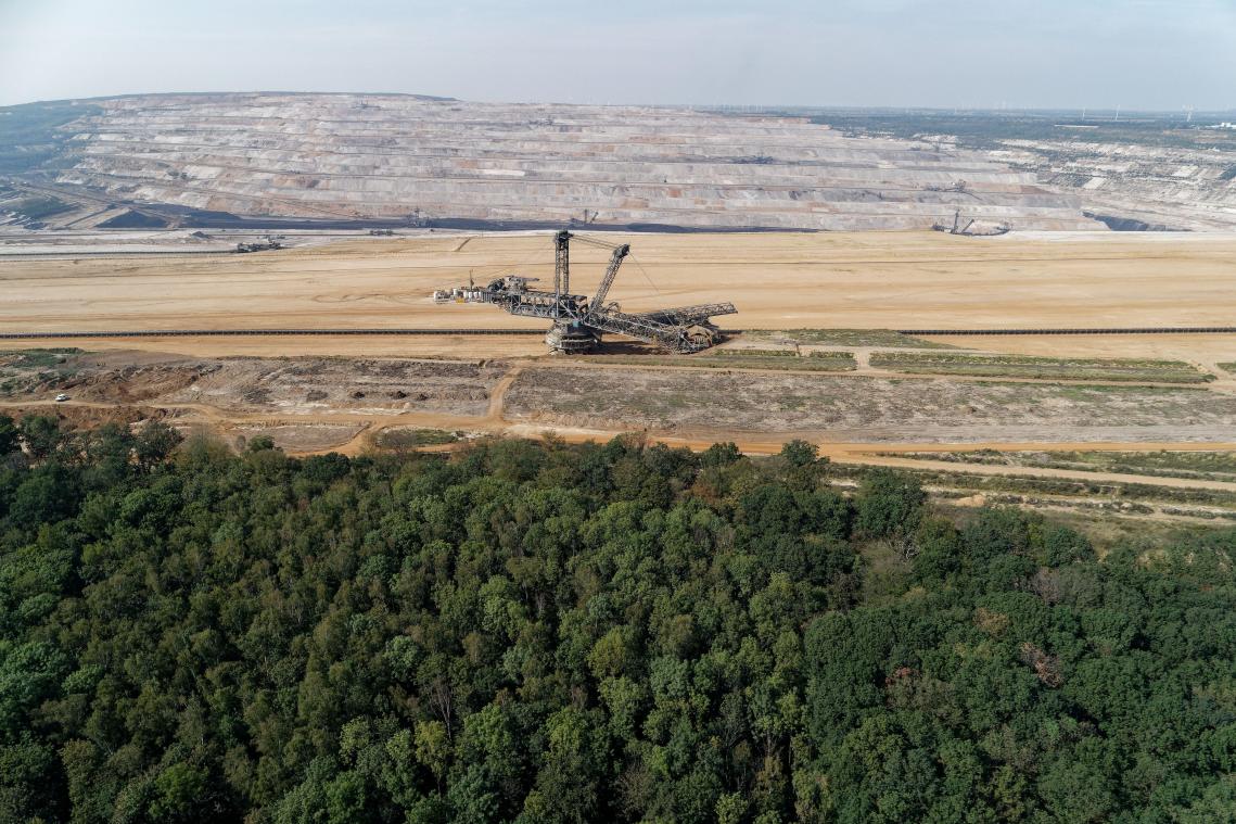 <p>Der Wald zwischen Köln und Aachen soll langfristig zu einem der wenigen Urwälder Mitteleuropas heranwachsen.</p>