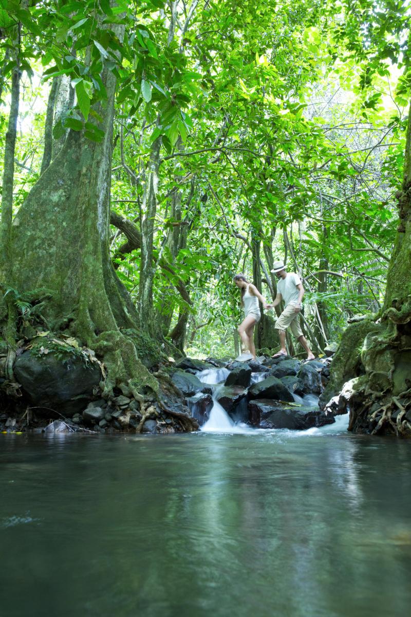 <p>Trip durch die grüne Wildnis: Die Insel Moorea ist von Dschungel bedeckt.</p>