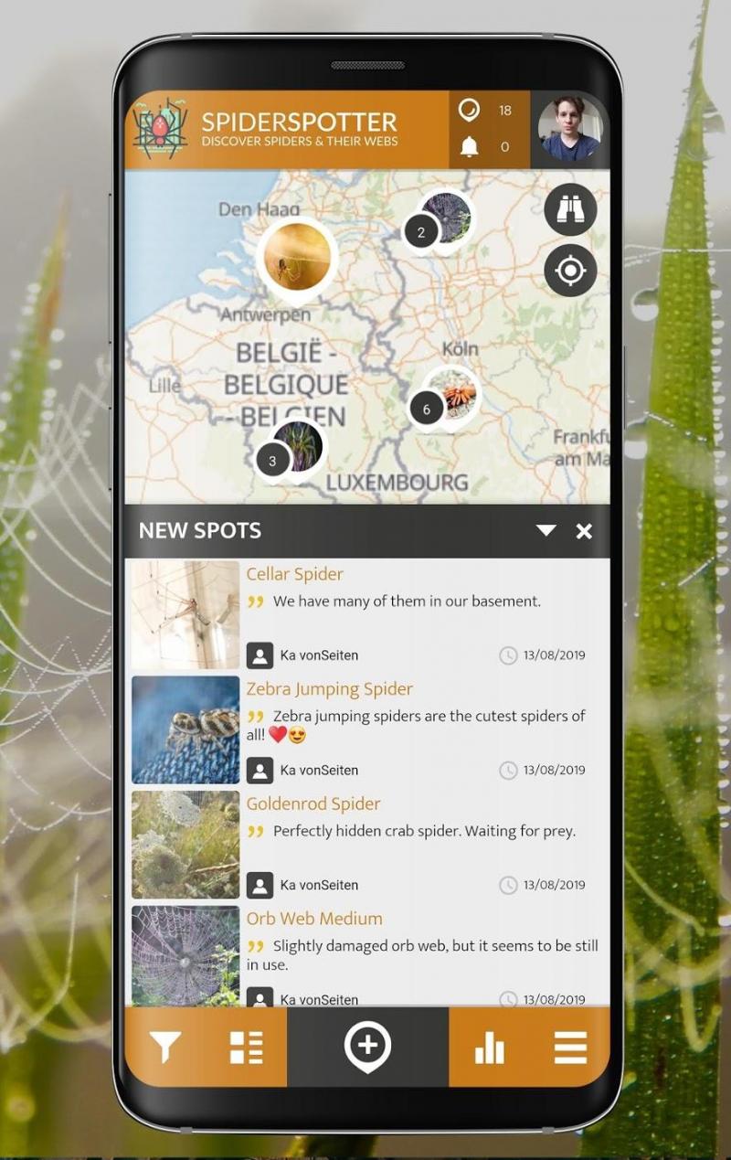 <p>Ein Blick auf die App „SpiderSpotter“</p>