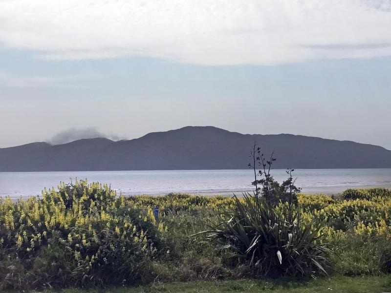 <p>Landschaftsaufnahme, aufgenommen auf der neuseeländischen Insel Kapiti. Auf der Insel hat der Kiwi seit bald einem Vierteljahrhundert keine natürlichen Feinde mehr.</p>