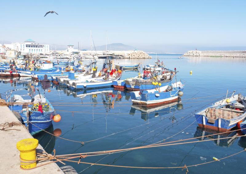 <p>Fischerhafen von M'Diq: Der Ort ist als einziger an der Tamouda Bay historisch gewachsen.</p>