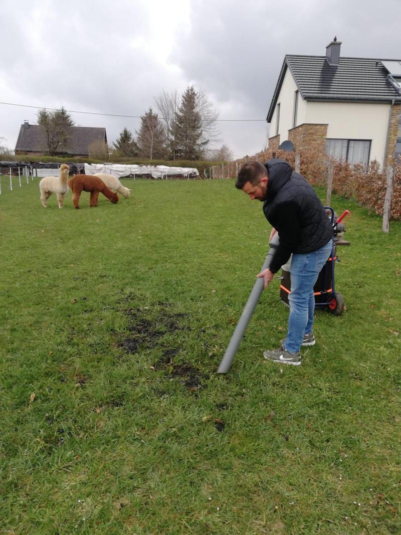 In Berg ist das Gras grner: Farmer Fred verkauft Alpakaka als Dnger -  GrenzEcho