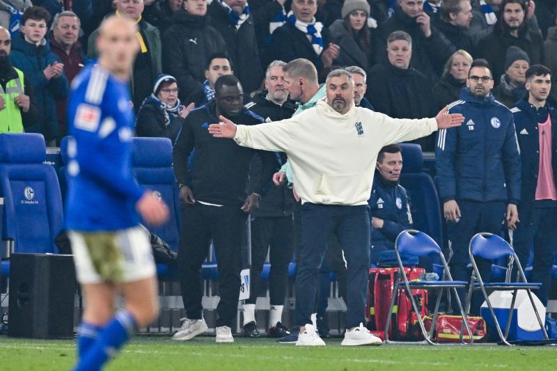 <p>Schalkes Cheftrainer Thomas Reis in Aktion</p>