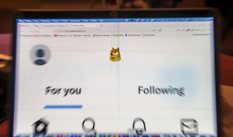 <p>Auf einem Laptop-Display ist die Startseite von Twitter zu sehen, die anstelle des Twitter-Logos das Symbol der Digitalwährung Dogecoin zeigt.</p>