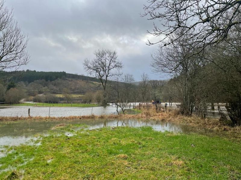 <p>In der Gemeinde Burg-Reuland sind einige Wiesen überflutet.</p>