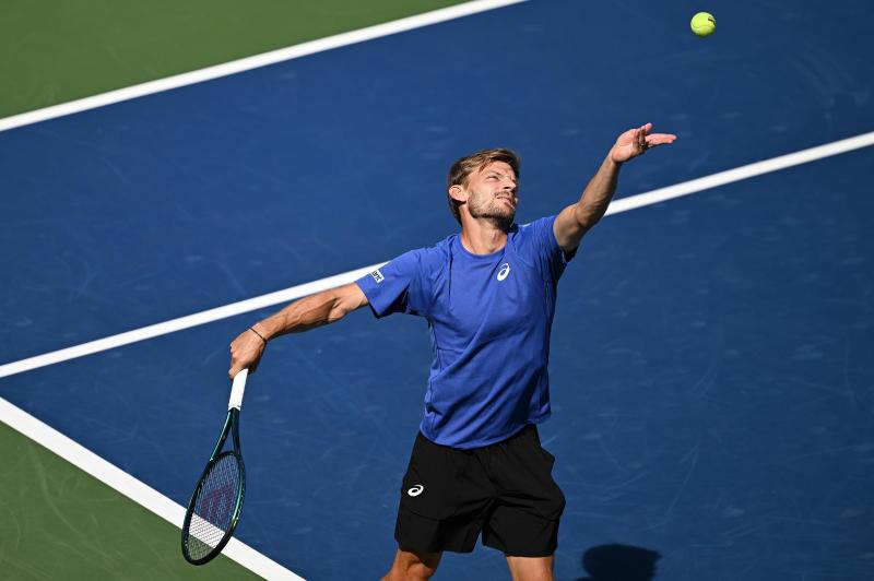 <p>Sein Aufschlag habe ihm einen Strich durch die Rechnung gemacht, erklärte ein enttäuschter David Goffin.</p>
