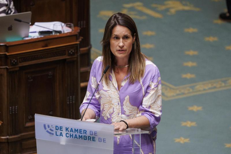 <p>Maaike De Vreese in der Kammer</p>