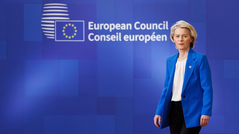 <p>Ursula von der Leyen</p>